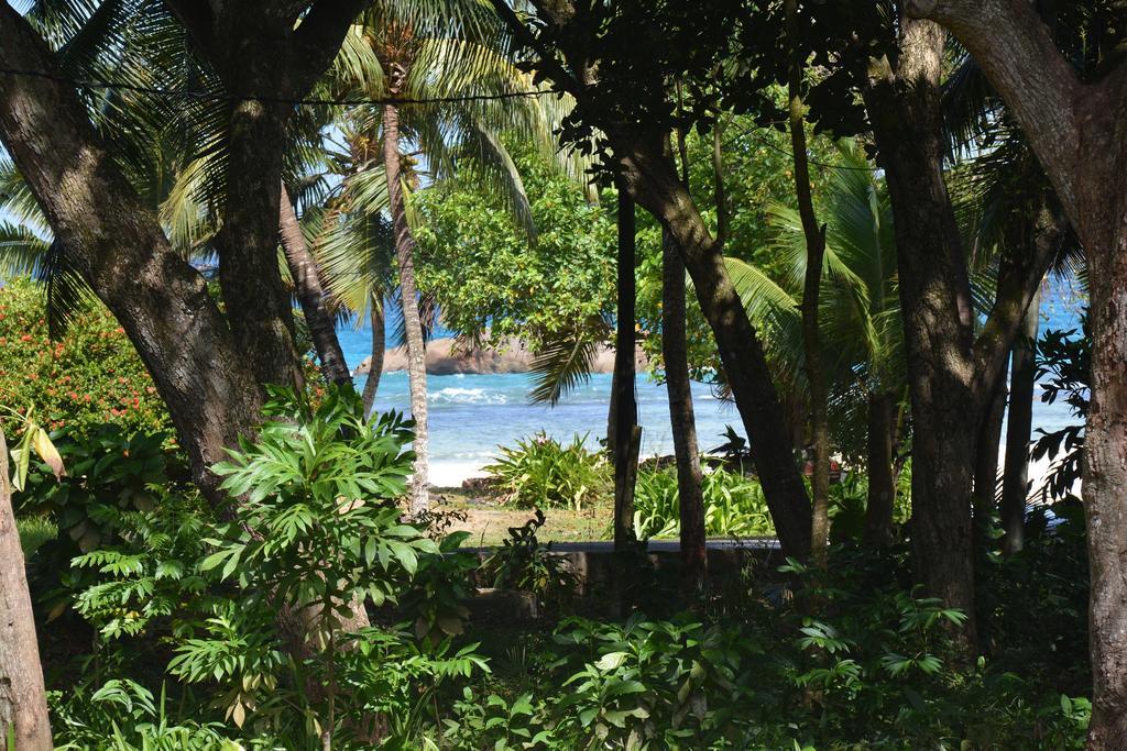 O'Soleil Chalets Self Catering ラ・ディーグ島 部屋 写真